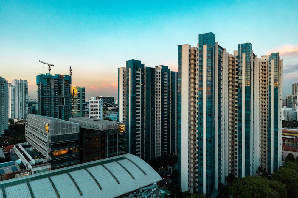 buildings beside green trees