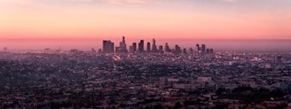 landscape photo of city buildings during dusk