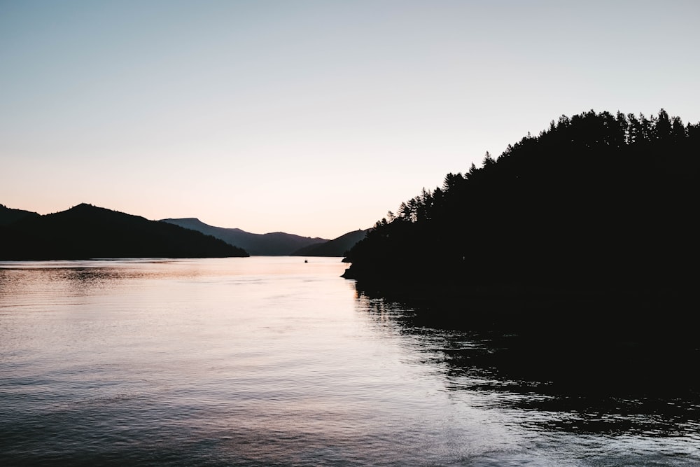 body of water near forest during daytime