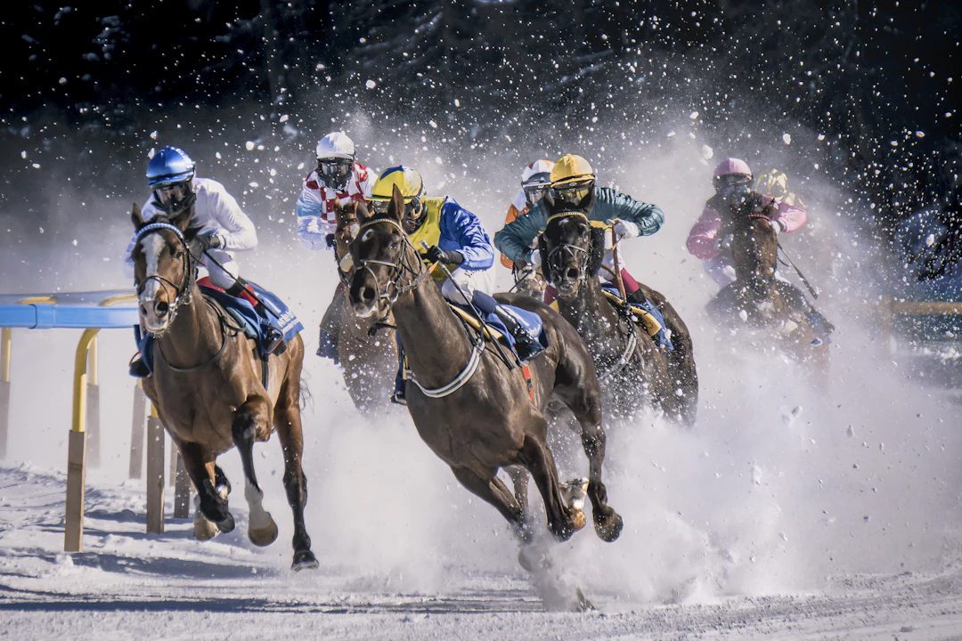 Horse race on a snowy course illustrating the varied race settings