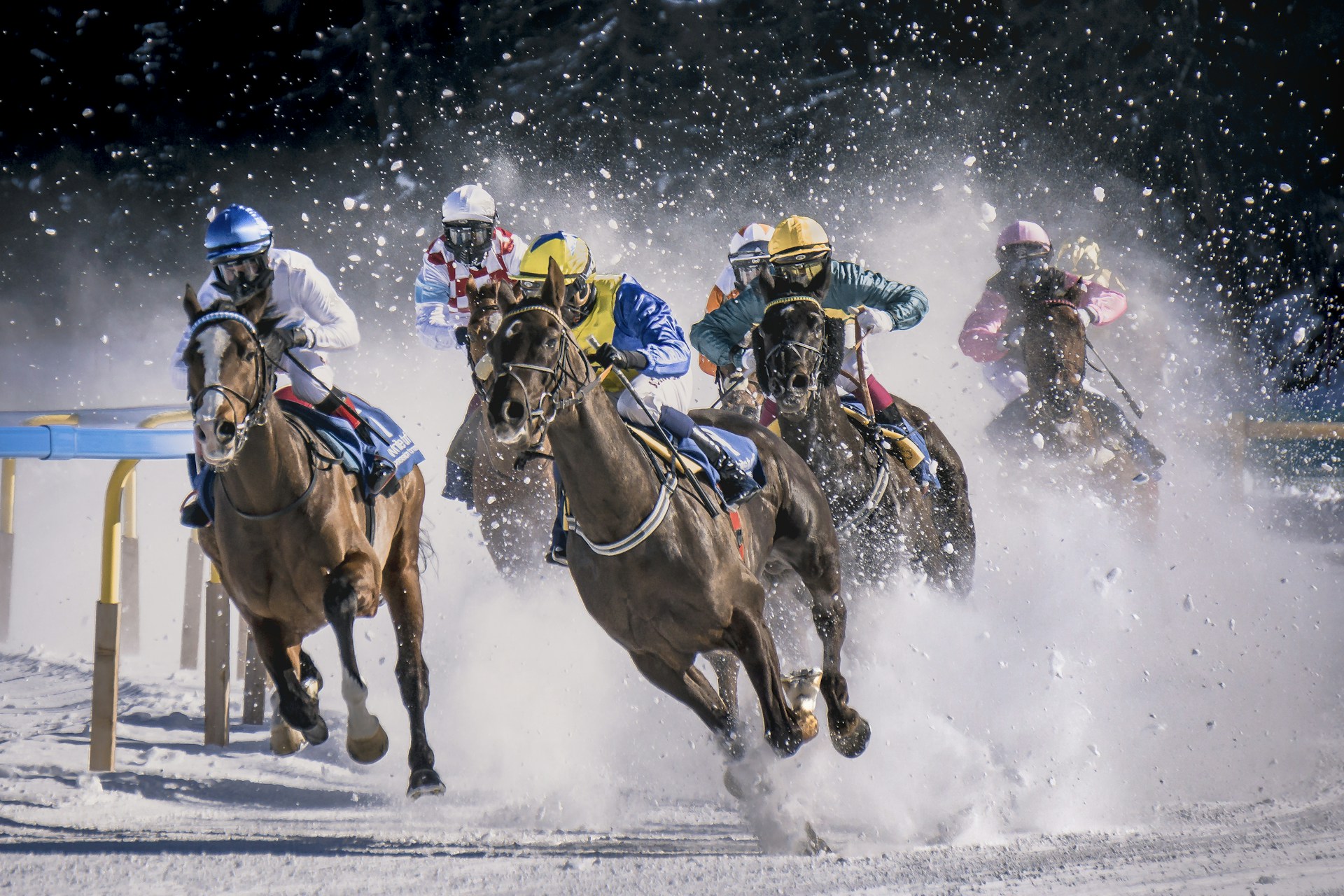 a group of men riding on the backs of horses