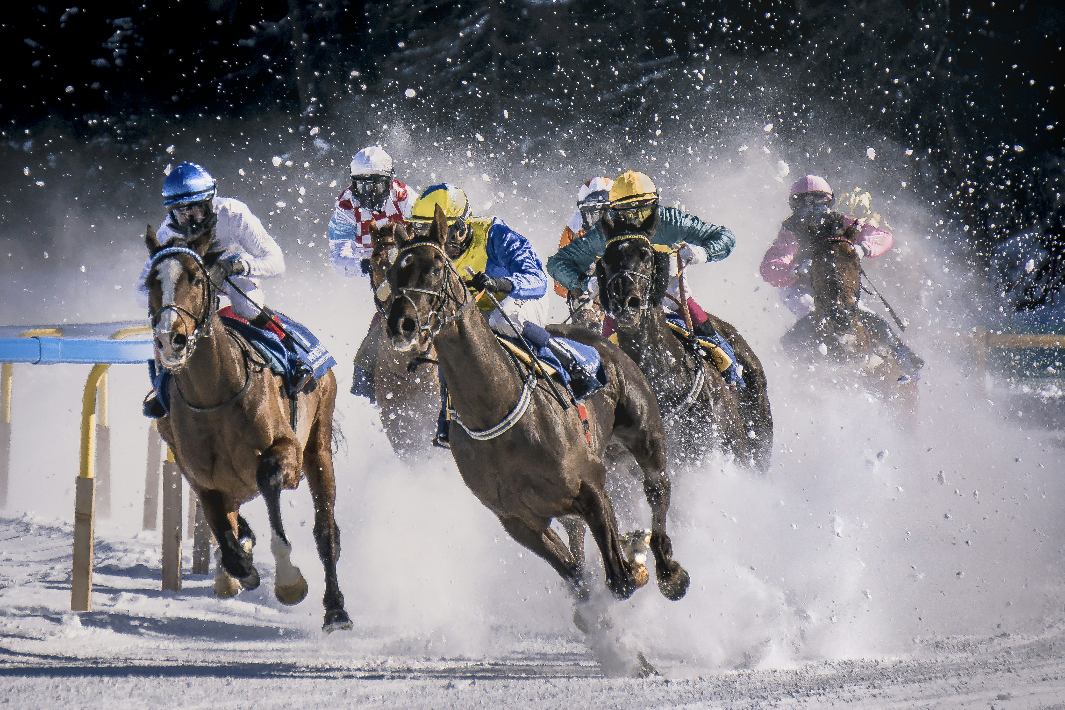 great photo recipe,how to photograph horse race in sankt moritz called white turf. it take place every year on the iced lake of sankt moritz.; a group of men riding on the backs of horses