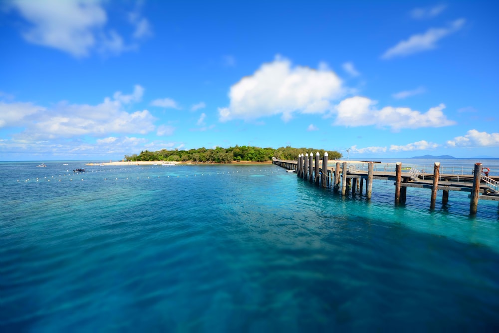 brown dock beside body of water