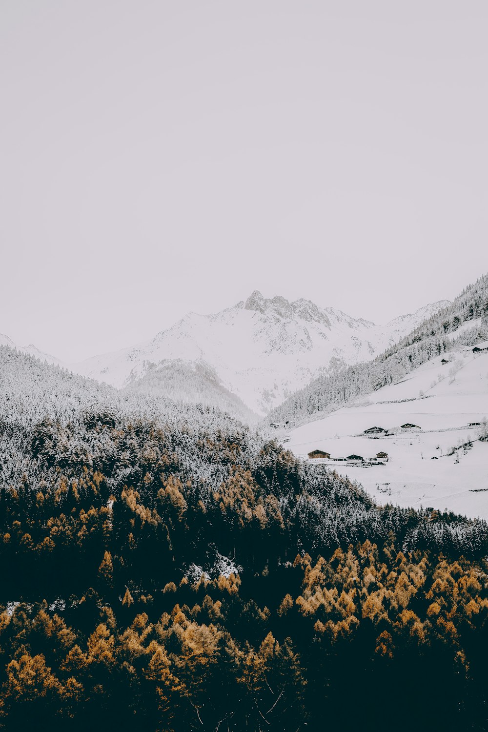 person taking photo of gray mountain