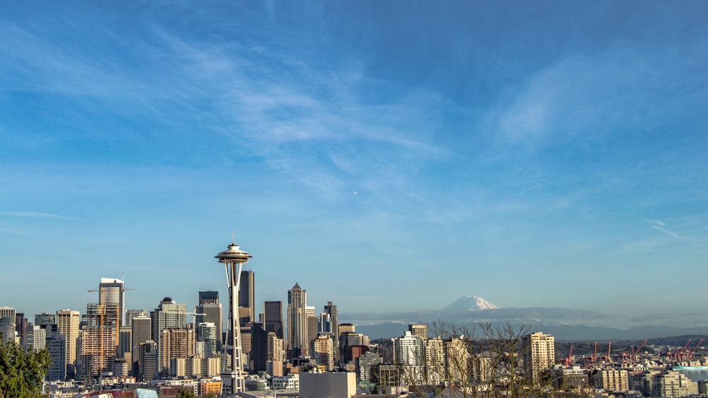 city skyline under blue sky during daytime