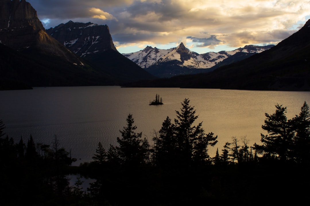 silhouette of trees near body of water and snowy mountains,