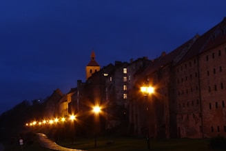 A misty Victorian-era street in Thomasville at twilight, with old lanterns casting soft glows.