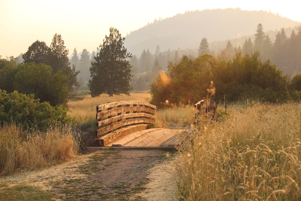 brown bridge near trees at daytime