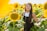 woman surrounded with sunflowers at daytime