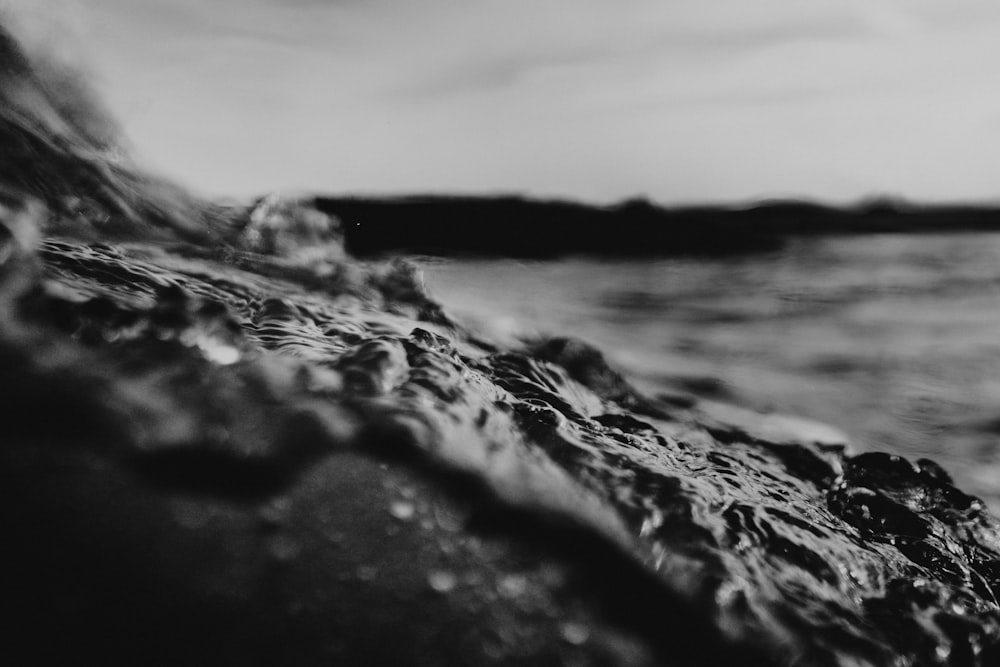 grayscale macro photography of water
