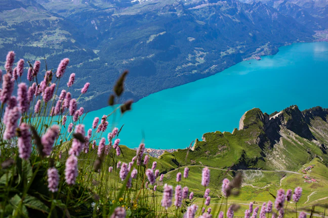 Luxury 4-Day Switzerland Itinerary: Zurich to the Alps