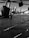 Several padlocks are attached to metal cables in the foreground, with a city skyline in the background across a body of water. The scene is in black and white, showing high-rise buildings and a distinctive tall tower.