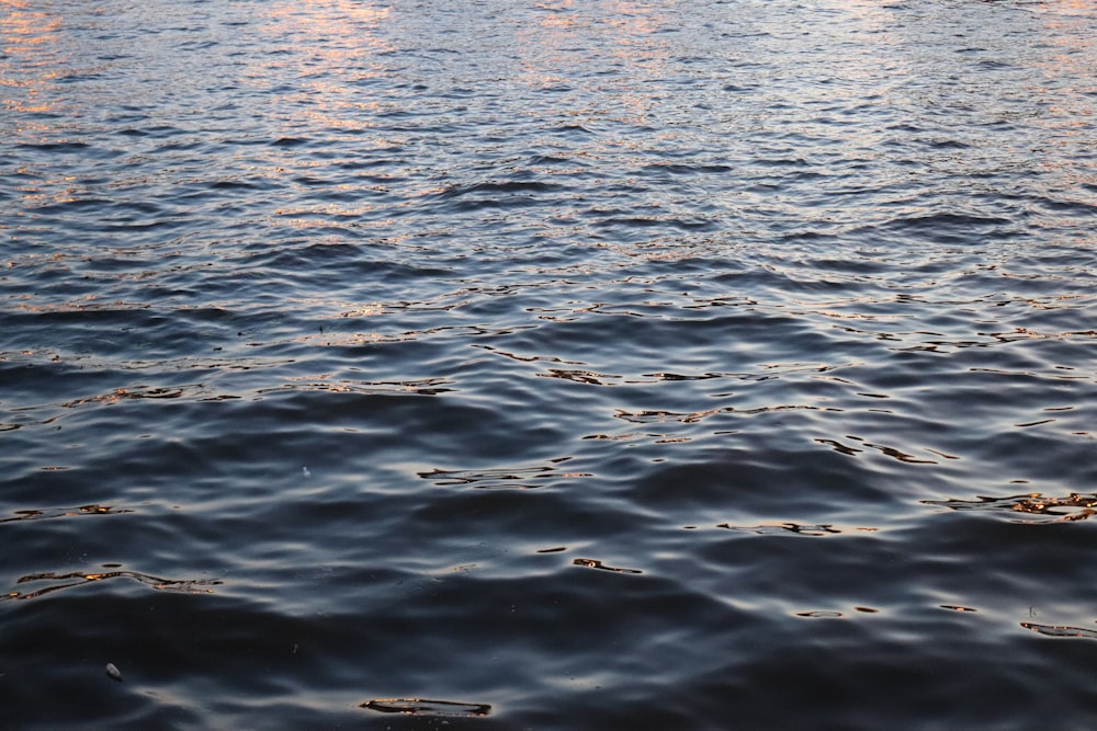 flat lay photography of body of water