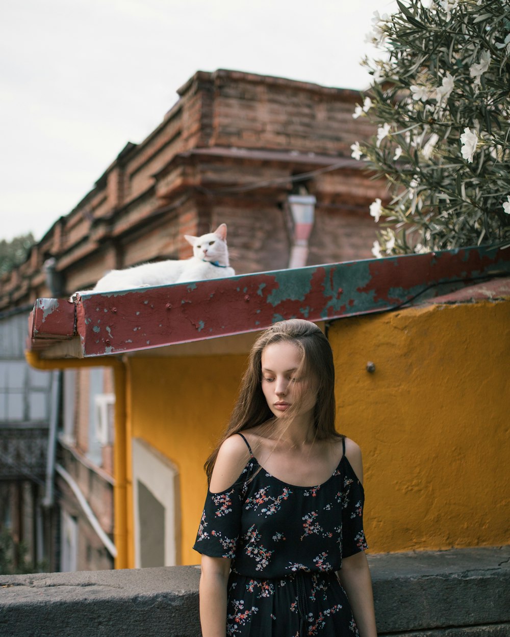 woman wearing black floral cold-shoulder dress near white cat lying on roof