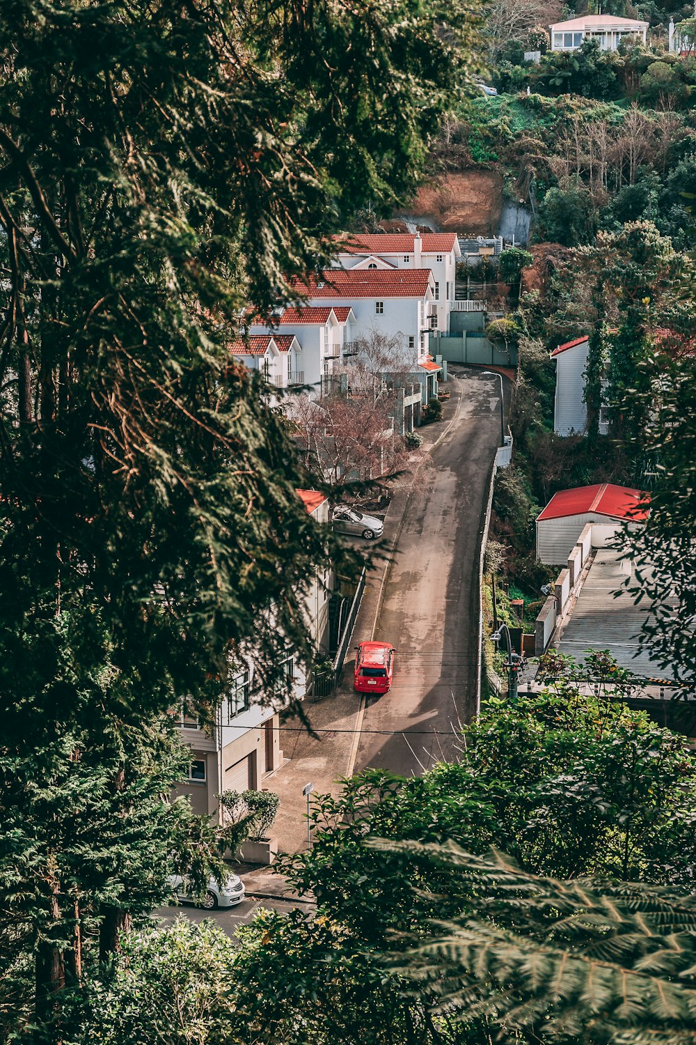 red car travelling on road between house and trees