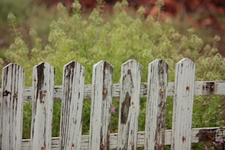 Side-by-side photo showing a weathered, grey fence transformed into bright, fresh timber after cleaning.