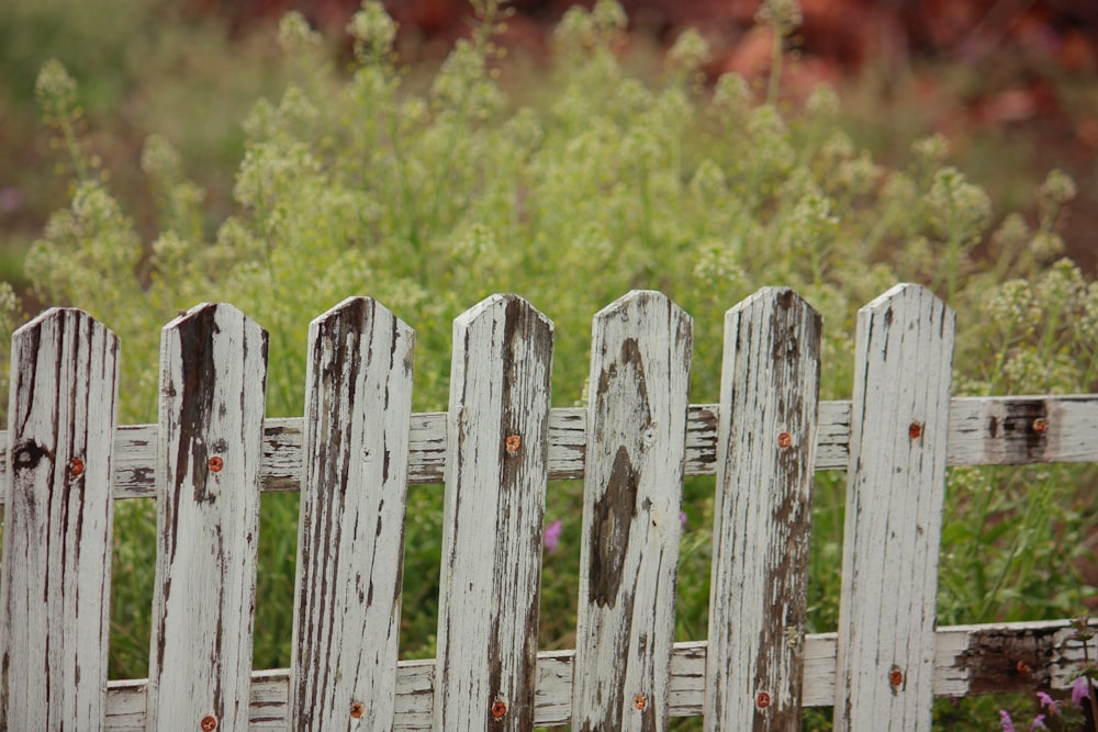 selective focus photography of wooden fence