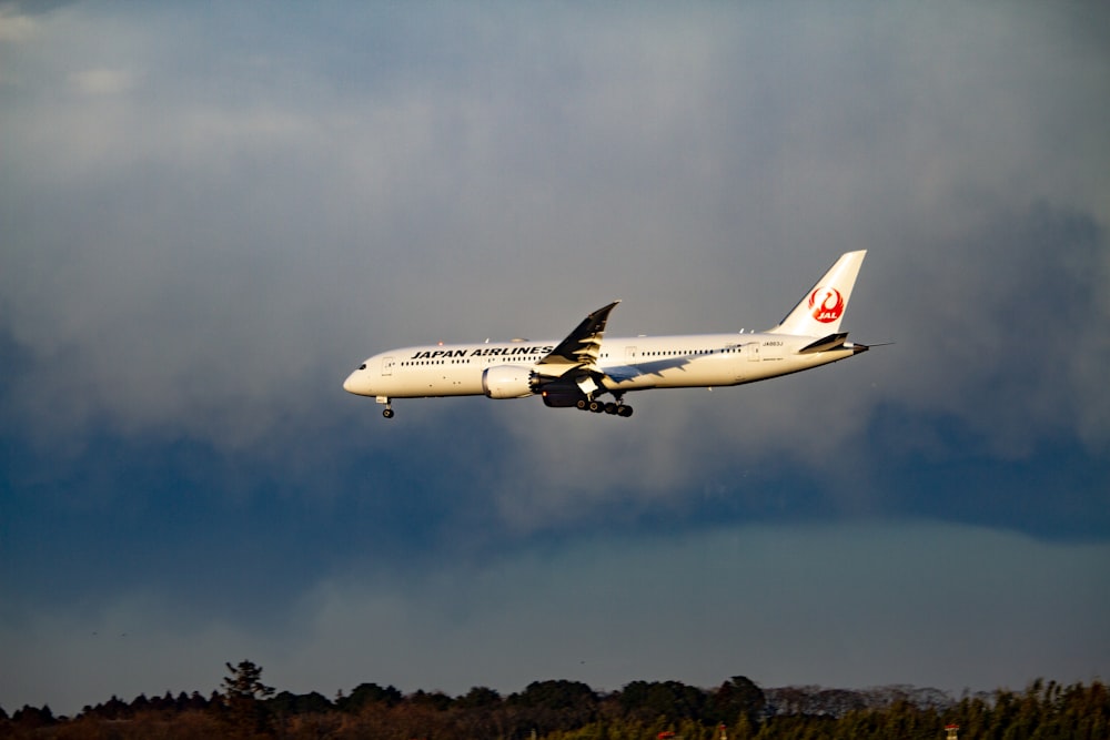 avión de transporte blanco