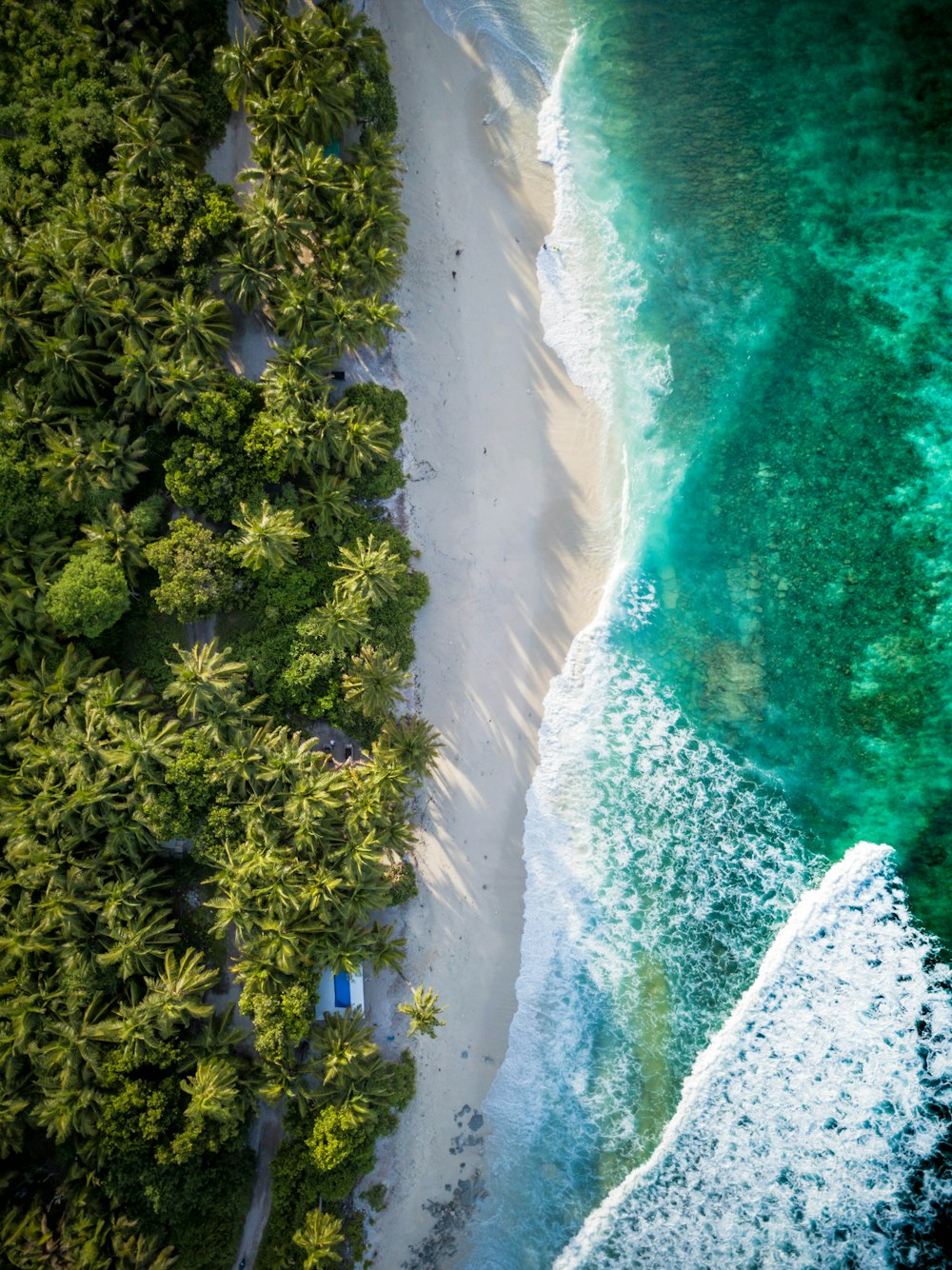 Vista aérea de la playa