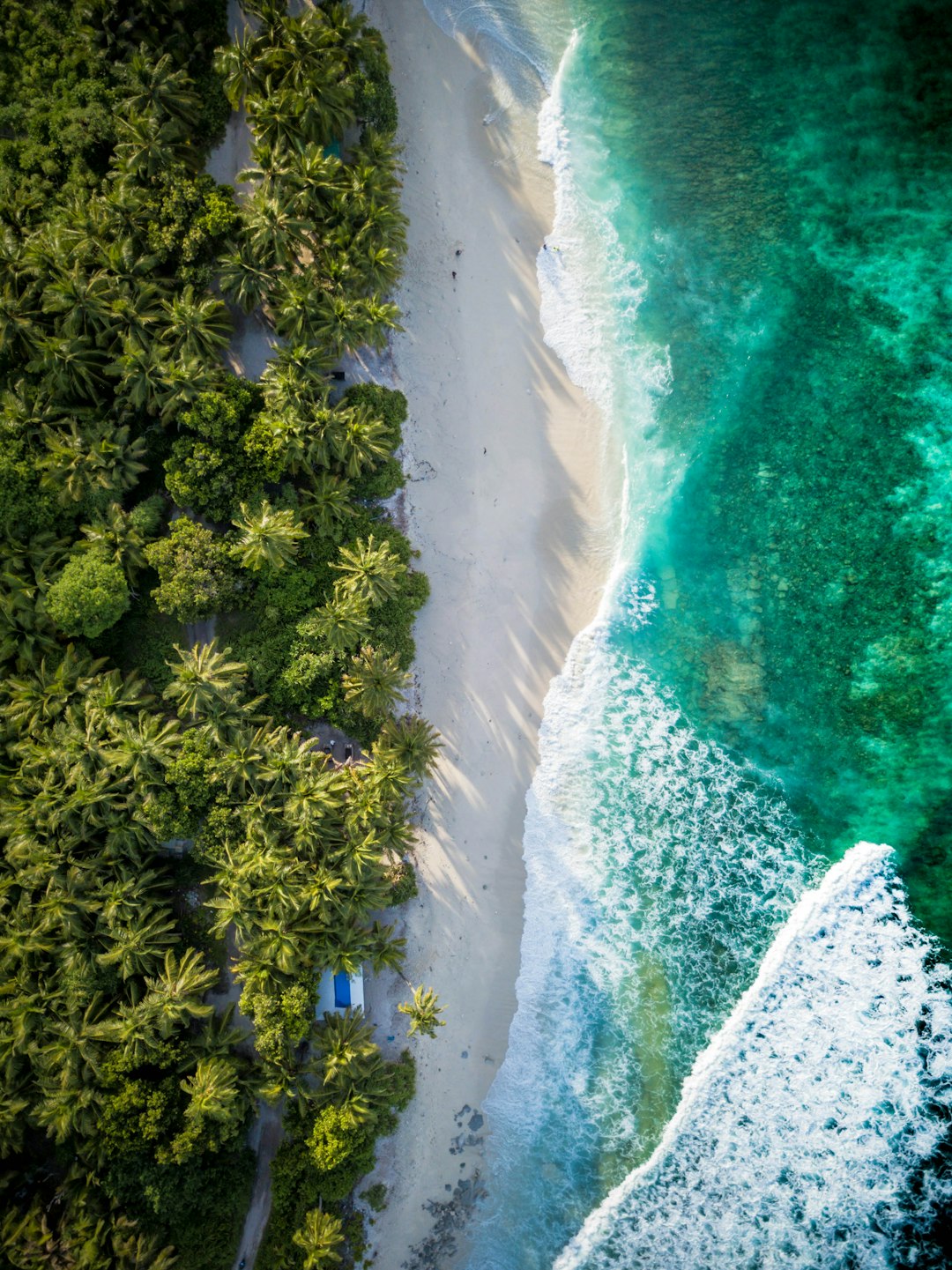 aerial view of beach