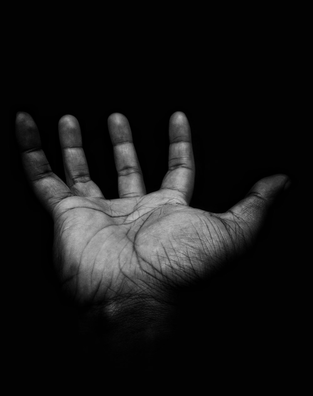 30,000+ Palm Hand Pictures  Download Free Images on Unsplash