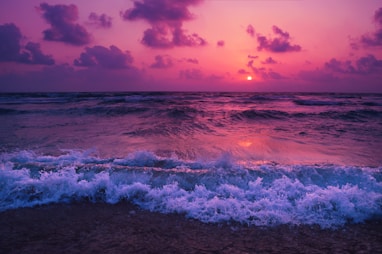 seashore
