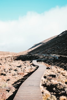 brown roadway beside mountain