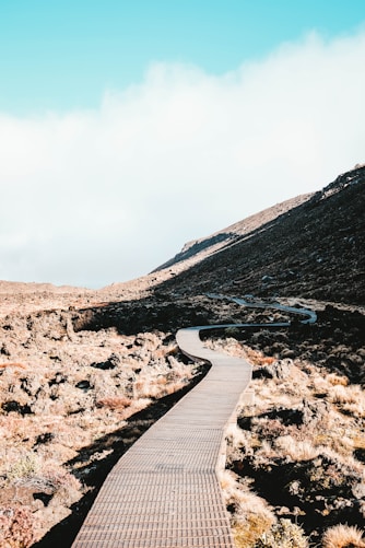 brown roadway beside mountain