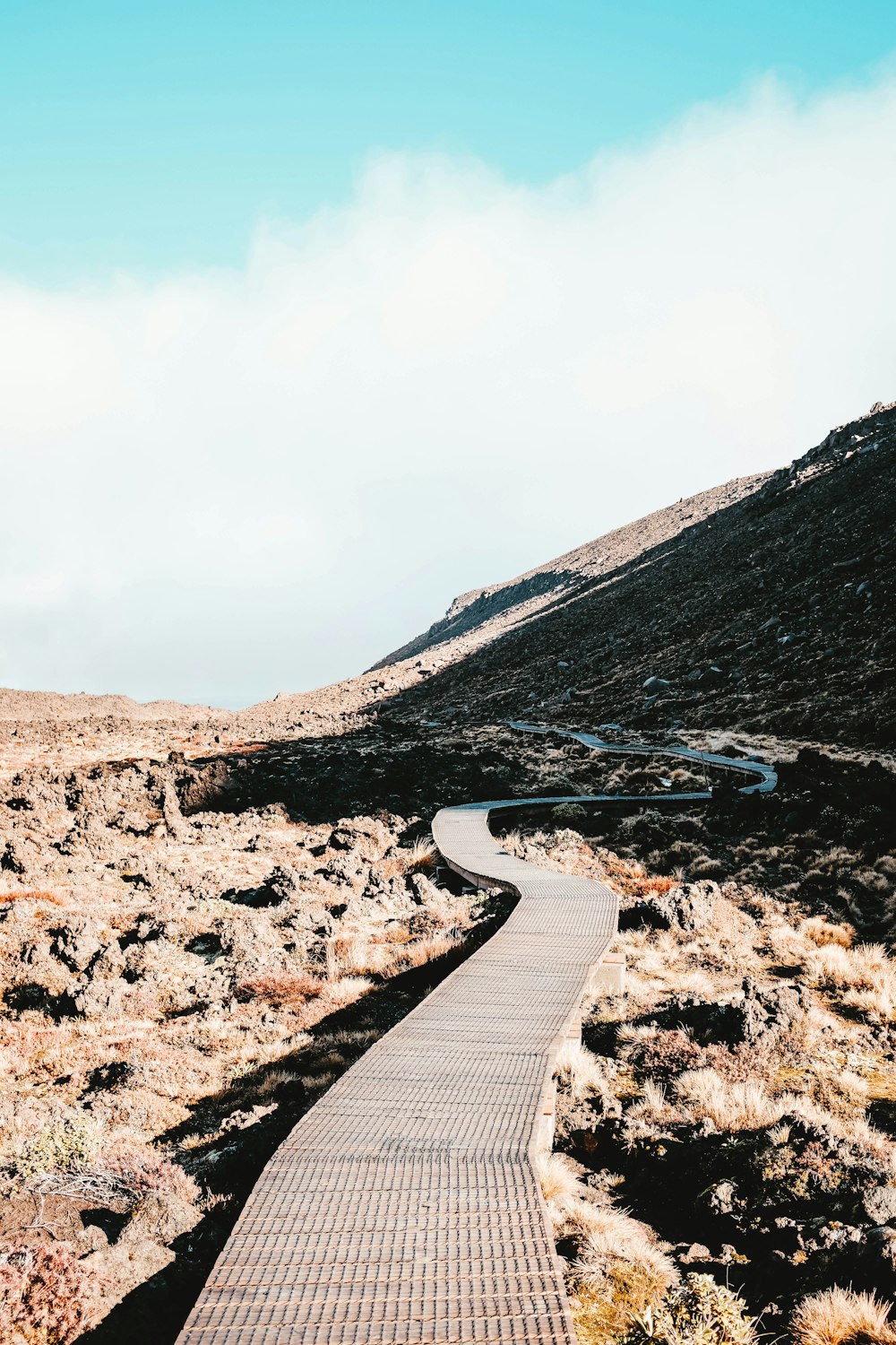 brown roadway beside mountain