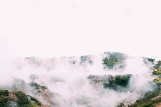 photo of Taupo Hill station near Mount Tongariro