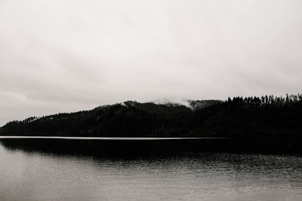 body of water near trees