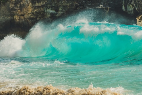 Nusa Penida One Day Trip