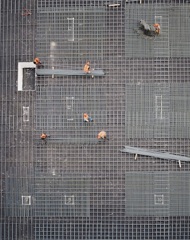 aerial photo of people in park at daytime