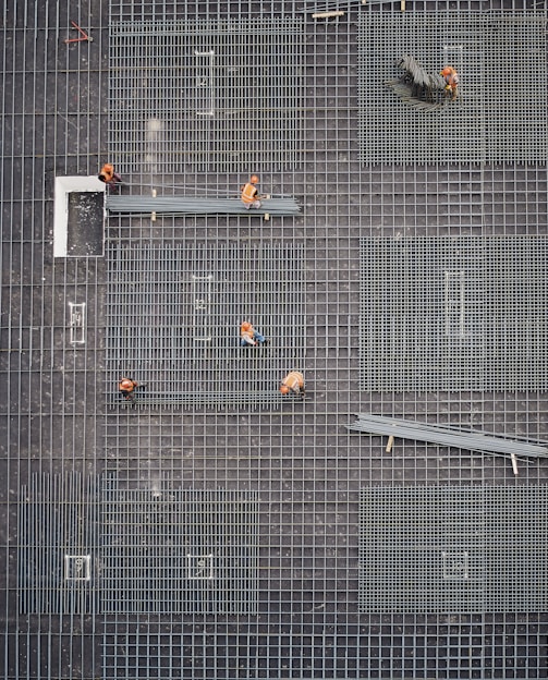 aerial photo of people in park at daytime