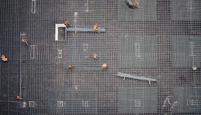 aerial photo of people in park at daytime