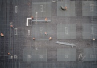 aerial photo of people in park at daytime