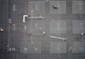 aerial photo of people in park at daytime