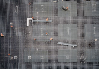 aerial photo of people in park at daytime