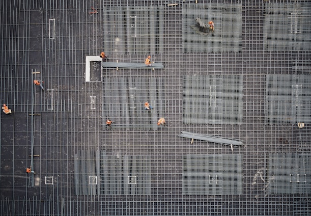 aerial photo of people in park at daytime