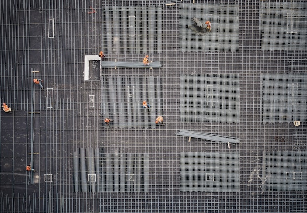 aerial photo of people in park at daytime