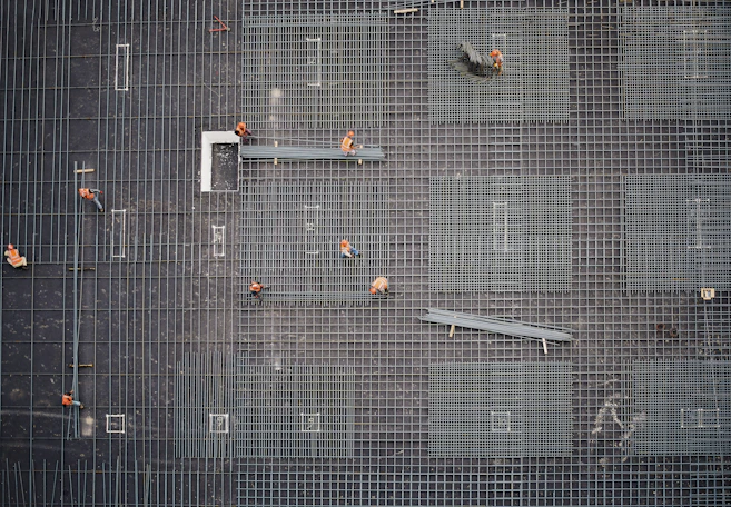 aerial photo of people in park at daytime