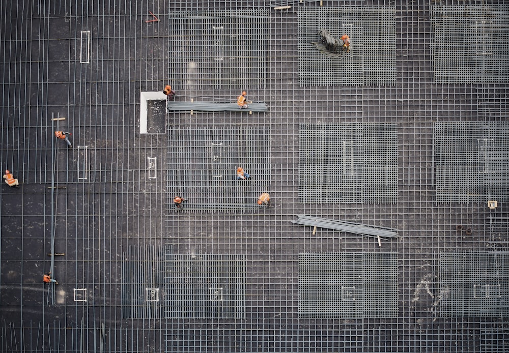 foto aérea de pessoas no parque durante o dia