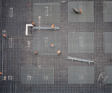 aerial photo of people in park at daytime