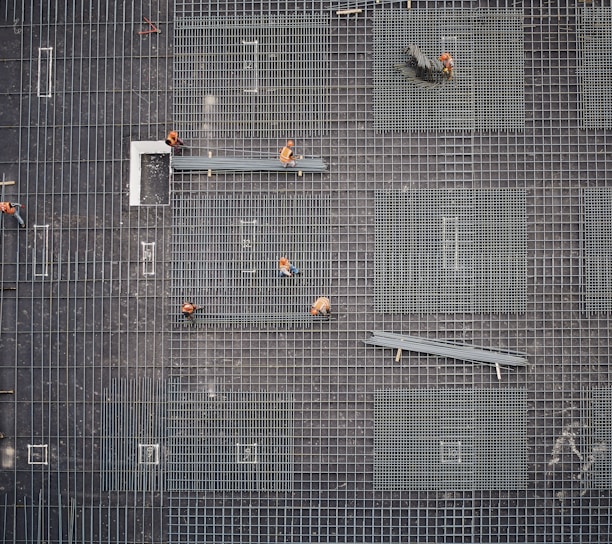 aerial photo of people in park at daytime