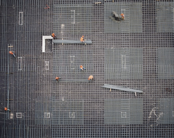 aerial photo of people in park at daytime