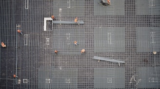 aerial photo of people in park at daytime