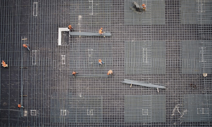 aerial photo of people in park at daytime