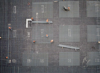 aerial photo of people in park at daytime