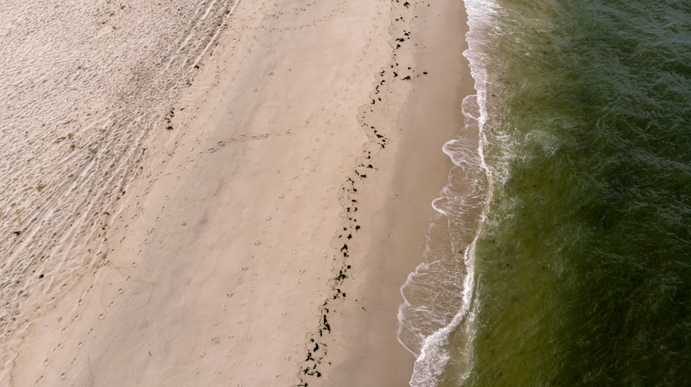 aerial photo of shore