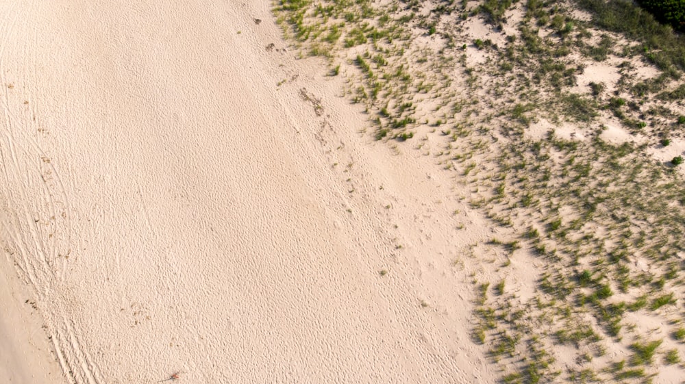 sand with green grass